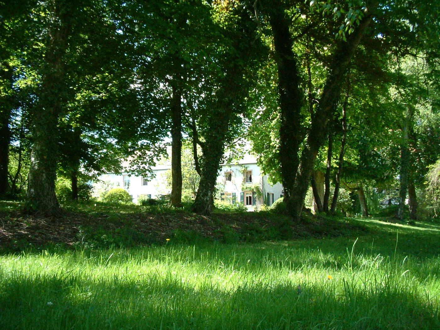 La maison vue à travers les frênes
