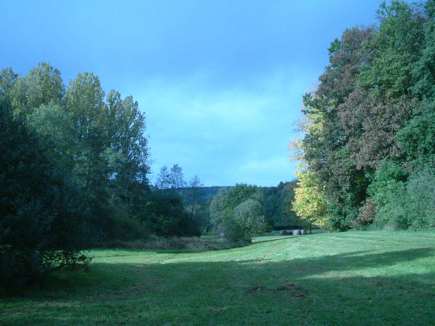 Prairie du parc en automne