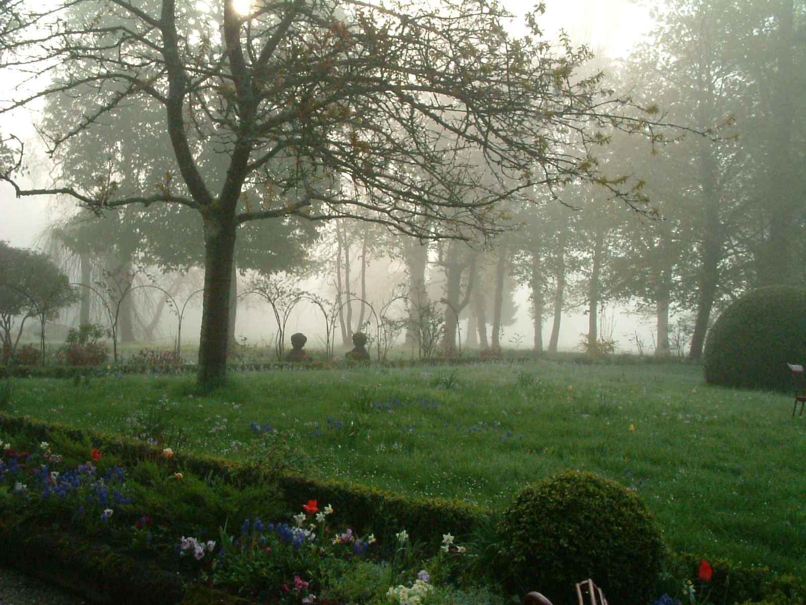 Parc dans la brume