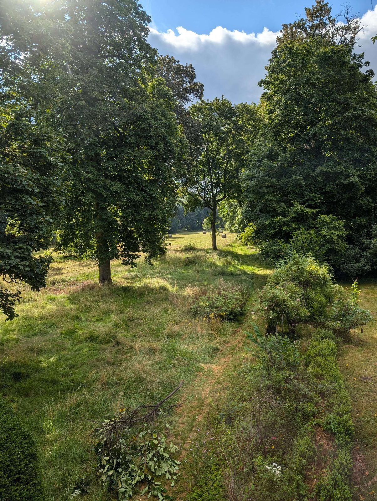 Parc en été