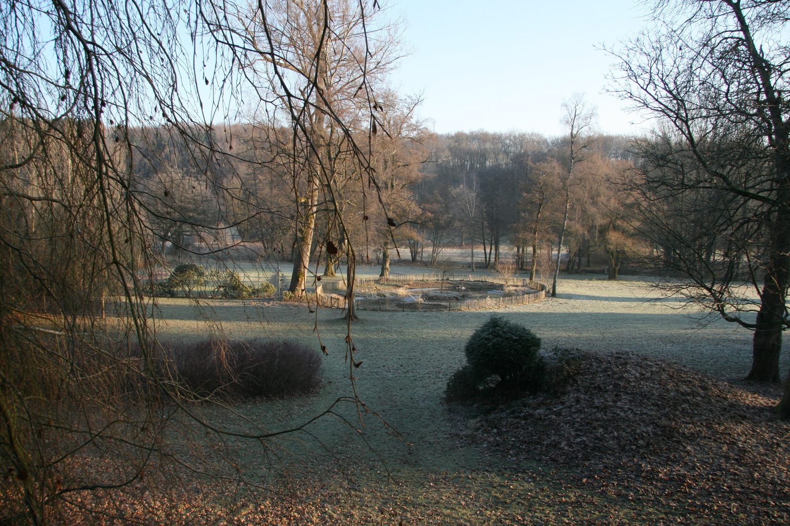 Parc en hiver